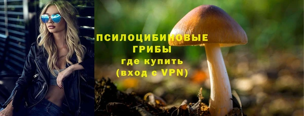 спайс Алексеевка