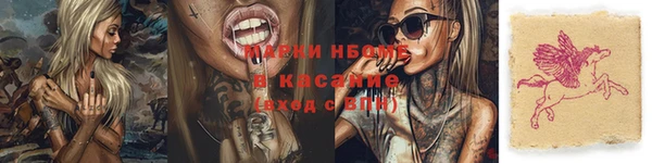 apvp Алзамай