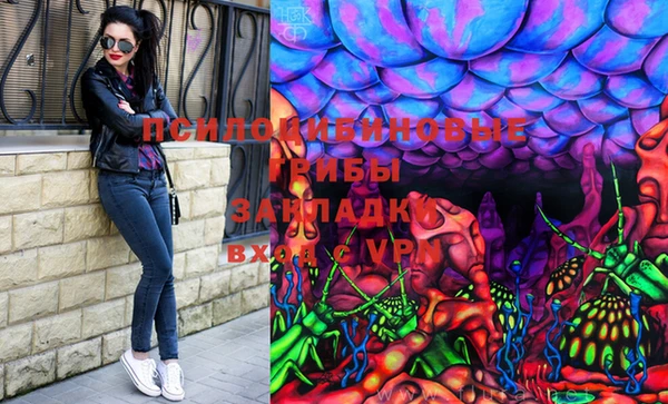 apvp Алзамай
