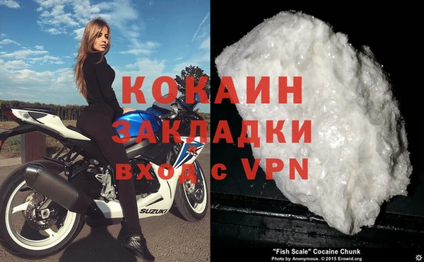 гашик Россошь