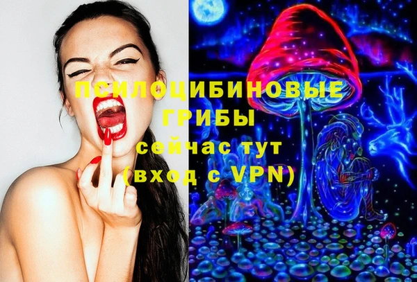 спайс Алексеевка
