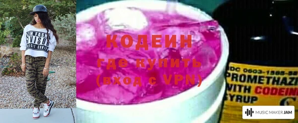 apvp Алзамай